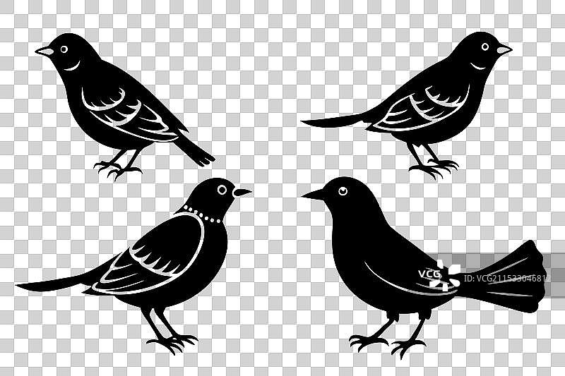 云雀鸟剪影图片素材