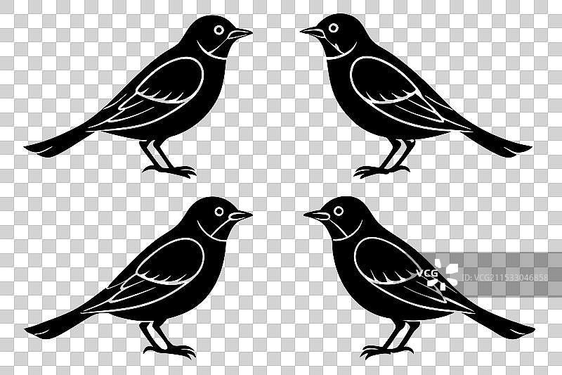 云雀鸟剪影图片素材