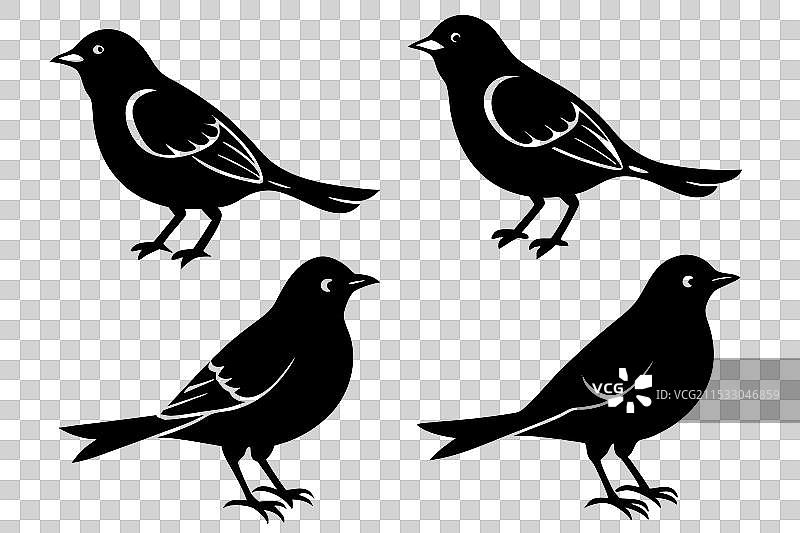 云雀鸟剪影图片素材