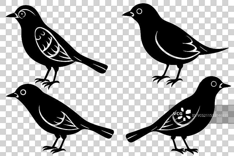 云雀鸟剪影图片素材