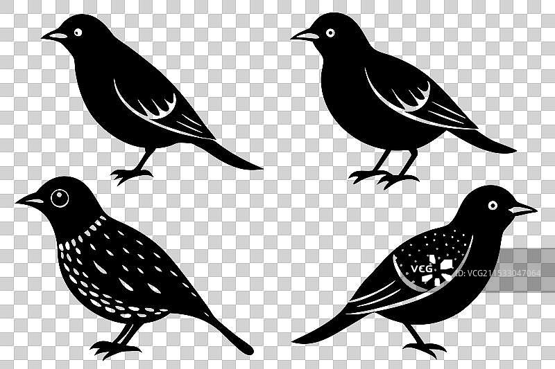 云雀鸟剪影图片素材