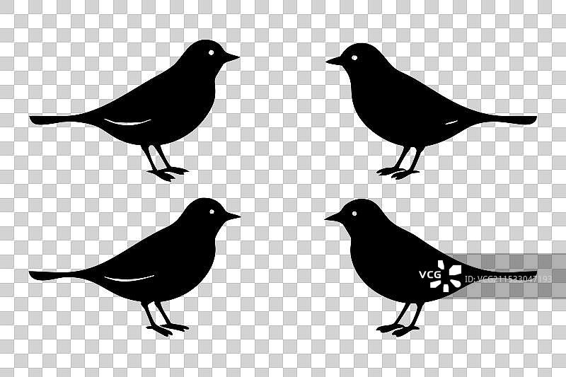 云雀鸟剪影图片素材