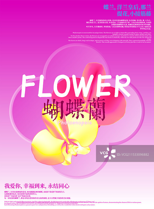 3D花卉蝴蝶兰设计海报图片素材