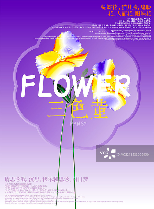 3D花卉三色堇设计海报图片素材