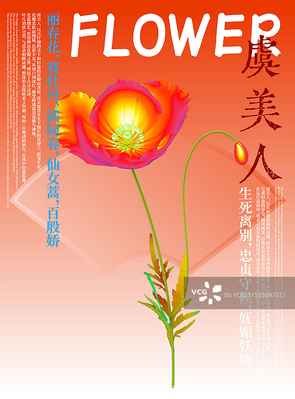 3D花卉虞美人设计海报图片素材