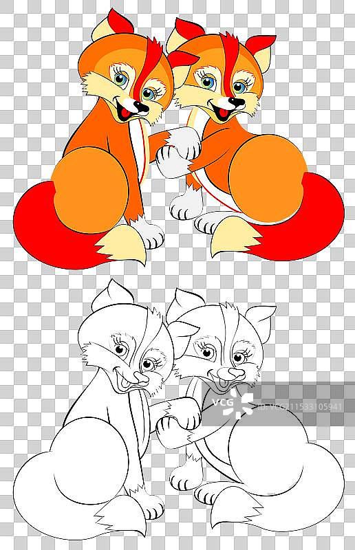 一对可爱的狐狸温柔地相互爱着图片素材