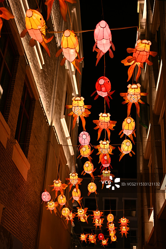 夜晚灯笼金鱼装饰图片素材