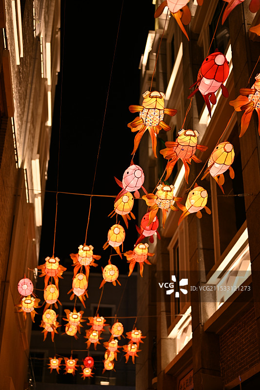 夜晚灯笼金鱼装饰图片素材