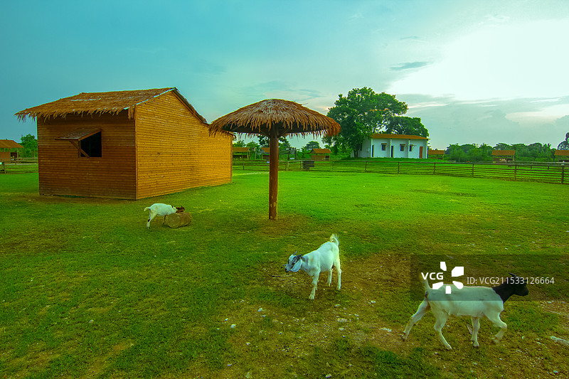 田园风光图片素材