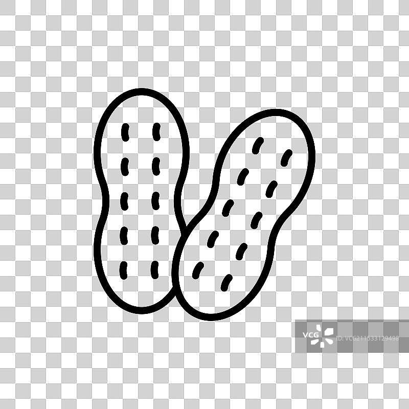 花生线条图标，背景为白色图片素材