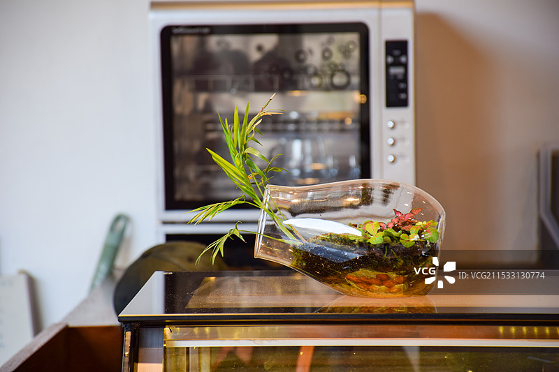 静物 玻璃造景图片素材