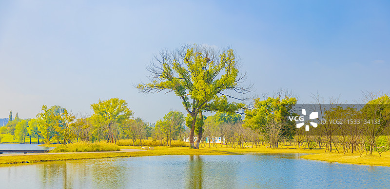 宫崎骏童话世界｜浙江·杭州（余杭区）｜良渚古城遗址公园（樱花湖）图片素材