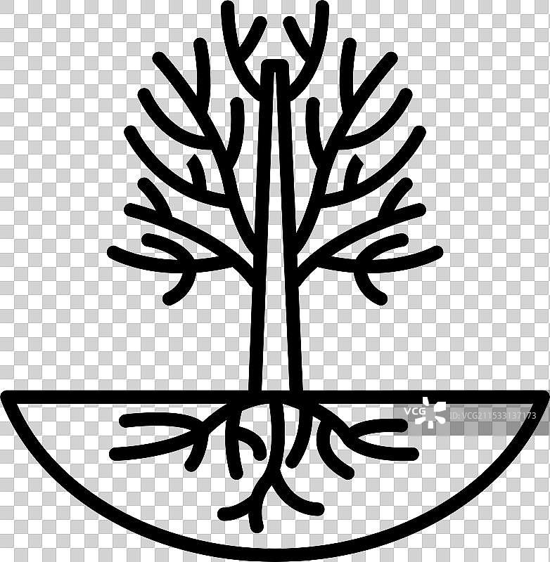 线条艺术风格的光秃树图片素材