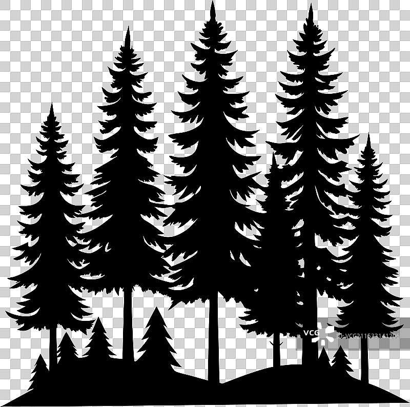 三棵松树的剪影图片素材