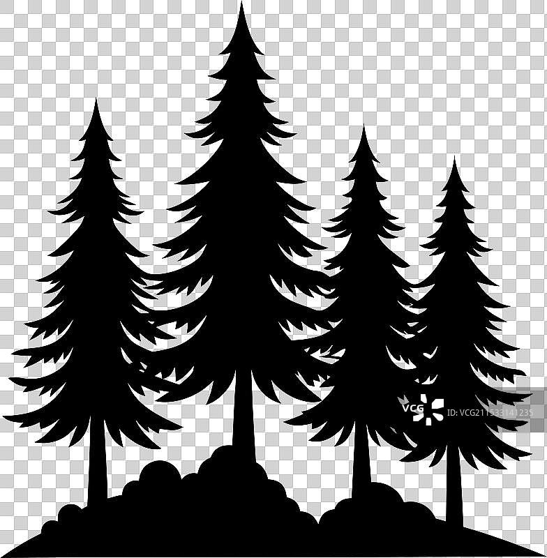 三棵松树的剪影图片素材