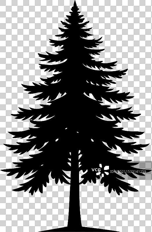 三棵松树的剪影图片素材