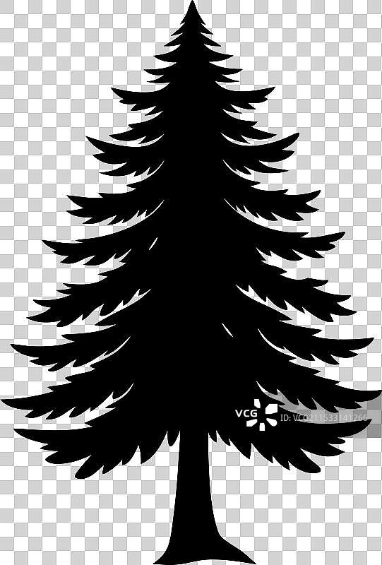 三棵松树的剪影图片素材