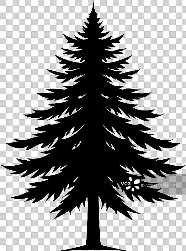 三棵松树的剪影图片素材