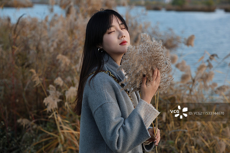 听芦苇的低语图片素材