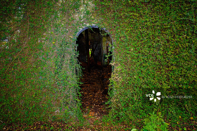 中国广东省东莞市谢岗镇，谢岗村，八卦吉村，东莞版“吴哥窟”图片素材