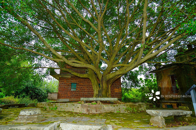 中国广东省东莞市谢岗镇，谢岗村，八卦吉村，东莞版“吴哥窟”图片素材