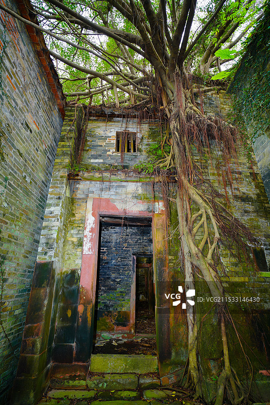 中国广东省东莞市谢岗镇，谢岗村，八卦吉村，东莞版“吴哥窟”图片素材