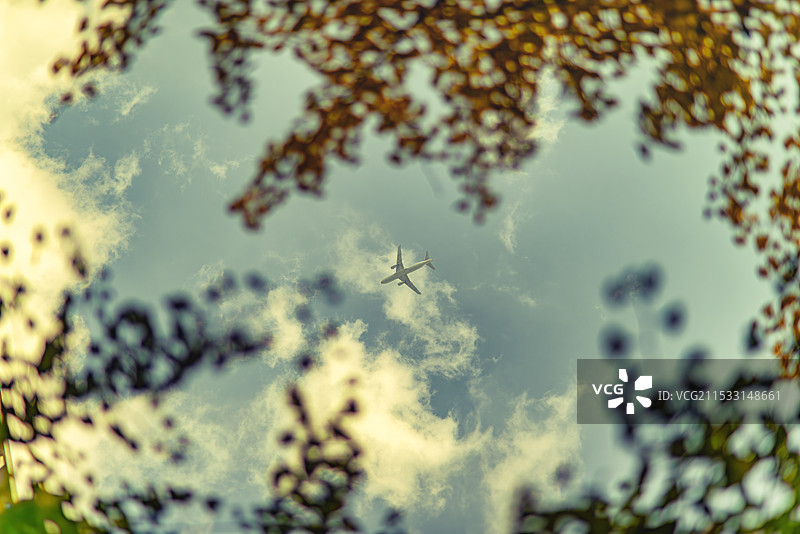 秋叶间穿梭的飞机图片素材