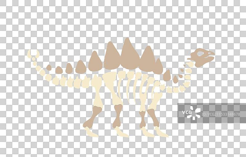 石器时代元素恐龙骨架和图片素材