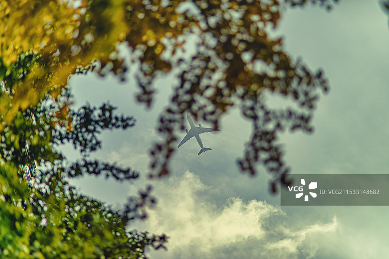 秋叶间穿梭的飞机图片素材