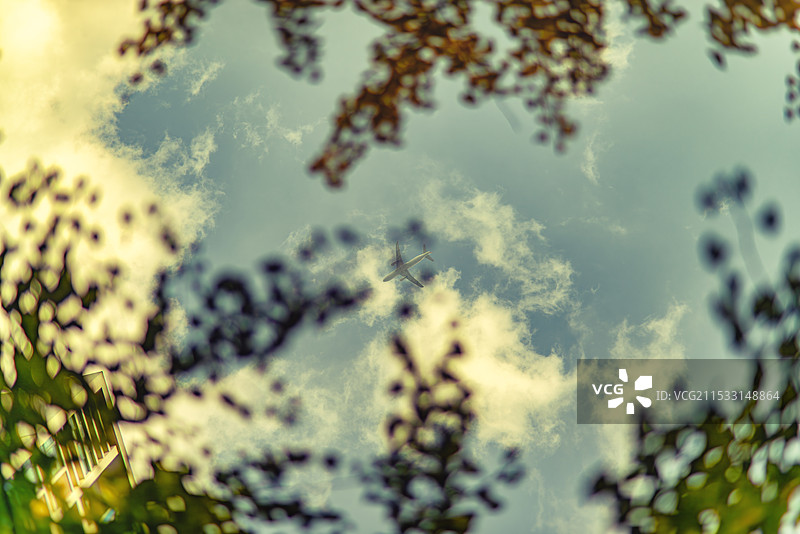 秋叶间穿梭的飞机图片素材