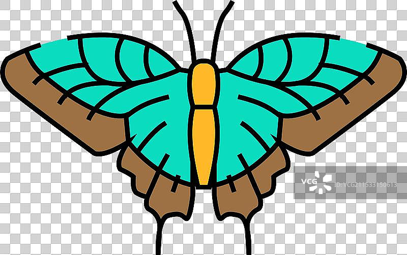 东部虎纹凤蝶 夏季 图标 色彩图片素材