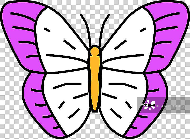 橙色硫磺夏季图标颜色图片素材