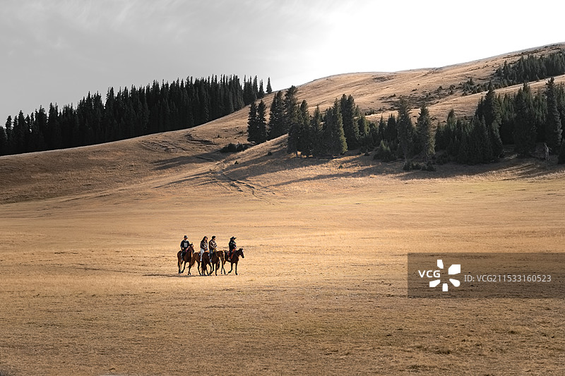 赛里木湖草原骑马人图片素材