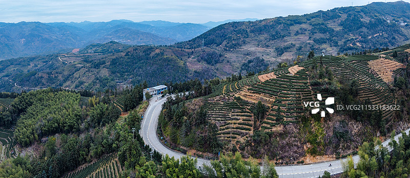 茶园 梯田 卓笔峰 叠石山 下拓坑村 春坪顶 福建 宁德图片素材