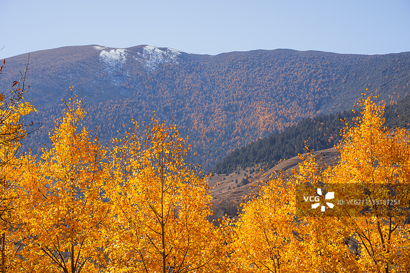 甲根坝的秋图片素材