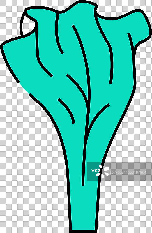 生菜健康食品图标彩色图片素材