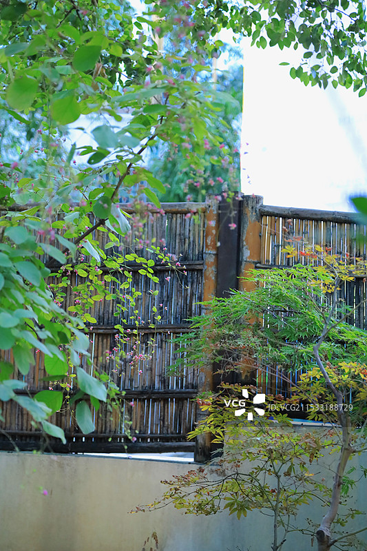 夏日常州拾芳园图片素材