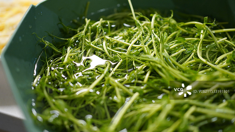 新鲜蔬菜绿色豆苗图片素材