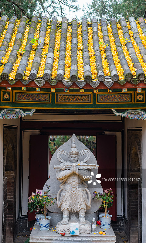 中国国内著名景点拍摄主题，山东泰安泰山普照寺寺庙南无韦陀尊天菩萨赞佛像，户外白昼无人图像摄影图片素材