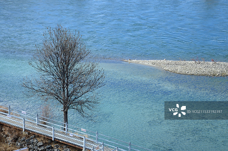雅尼湿地公园图片素材