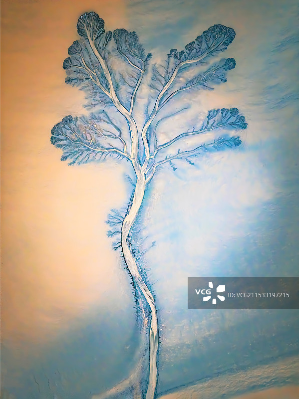 大自然的画作——钱塘江巨型潮汐树图片素材