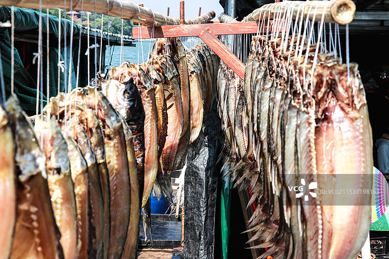 江边船上卖的鱼图片素材