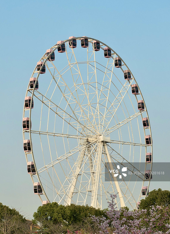 上海顾村公园摩天轮与樱花，春天三月份图片素材