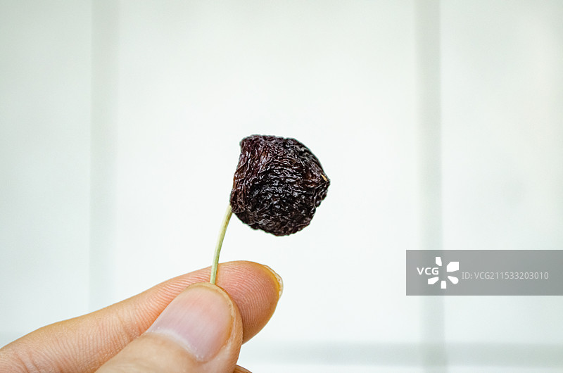 中国水果果蔬拍摄主题，紫色红色的樱桃车厘子晒干后的纹理褶皱干果果实，室内无人影棚拍摄图像摄影图片素材