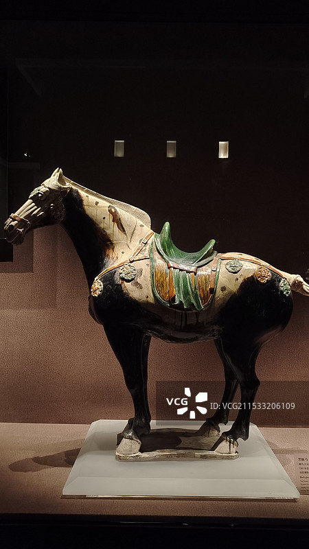 洛阳博物馆 镇馆之宝 三彩黑釉马图片素材