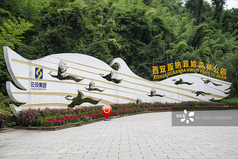 西双版纳原始森林公园景区图片素材