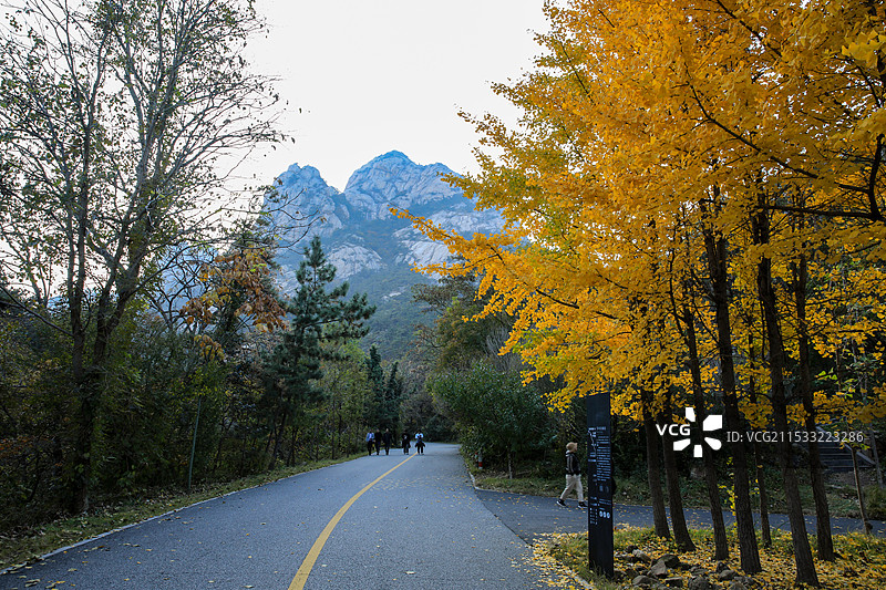 烟台昆嵛山国家森林公园图片素材