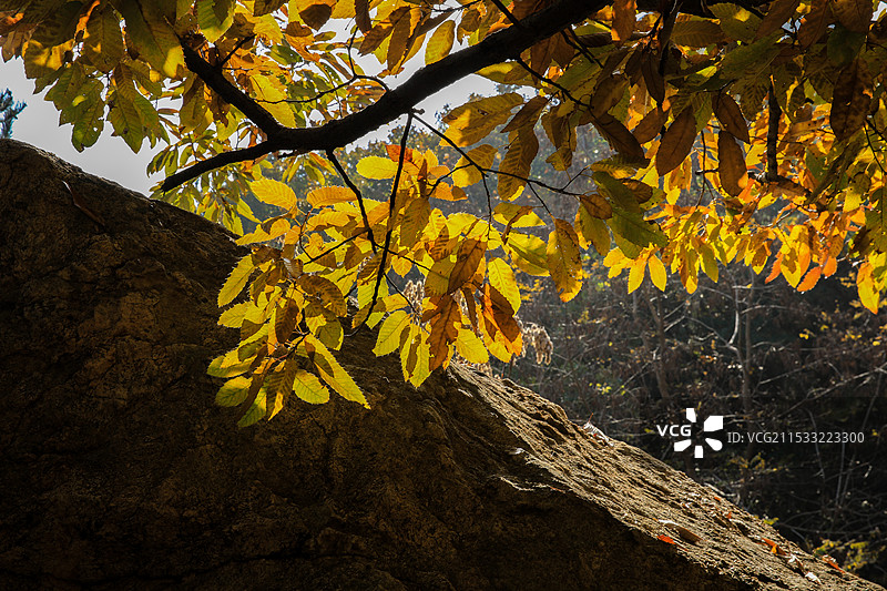 烟台昆嵛山国家森林公园图片素材