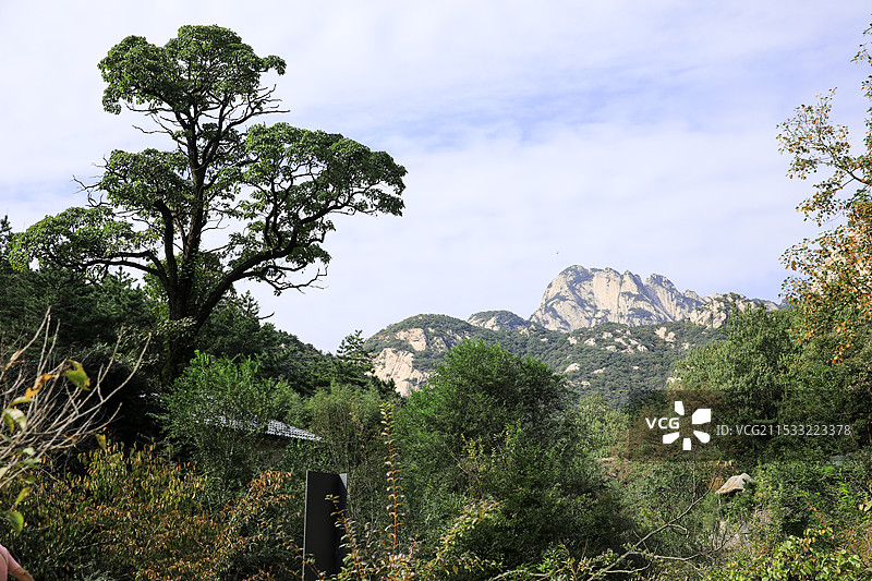 烟台昆嵛山国家森林公园图片素材