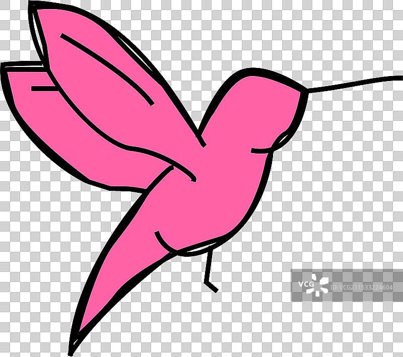 小鸟图标，色彩丰富的蜂鸟图片素材